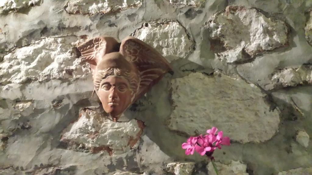ιππόκαμπος Πανσιόν